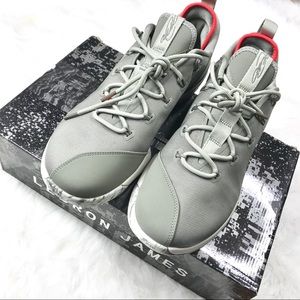 💯FINAL SALE! Nike Lebron James XIV 14 Low (Grey)